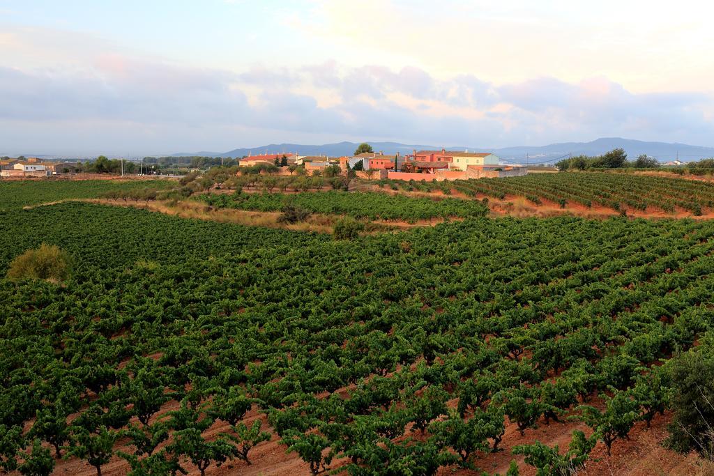 فندق Sant Jaume dels Domenysفي  Mas Castell De Gimenelles المظهر الخارجي الصورة