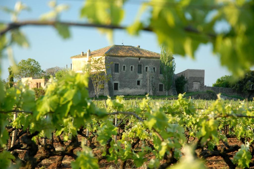 فندق Sant Jaume dels Domenysفي  Mas Castell De Gimenelles المظهر الخارجي الصورة