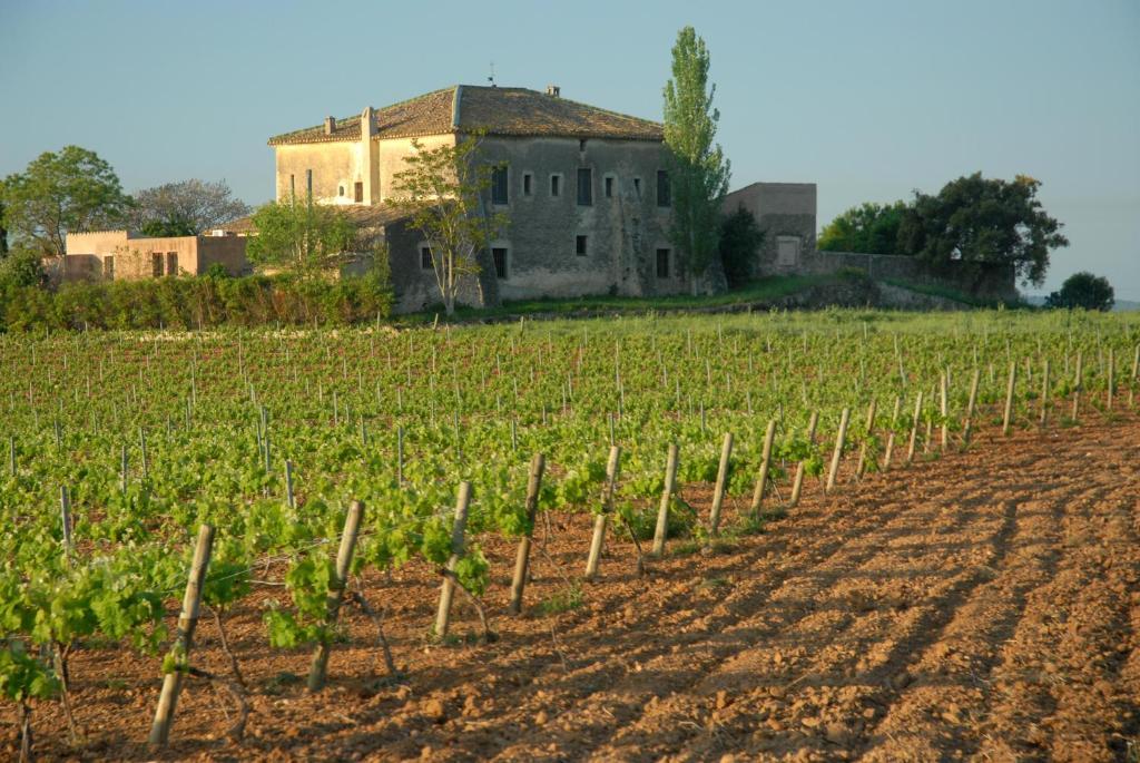 فندق Sant Jaume dels Domenysفي  Mas Castell De Gimenelles المظهر الخارجي الصورة